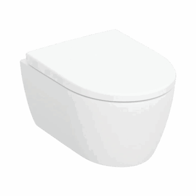 Vägghängd Toalettstol