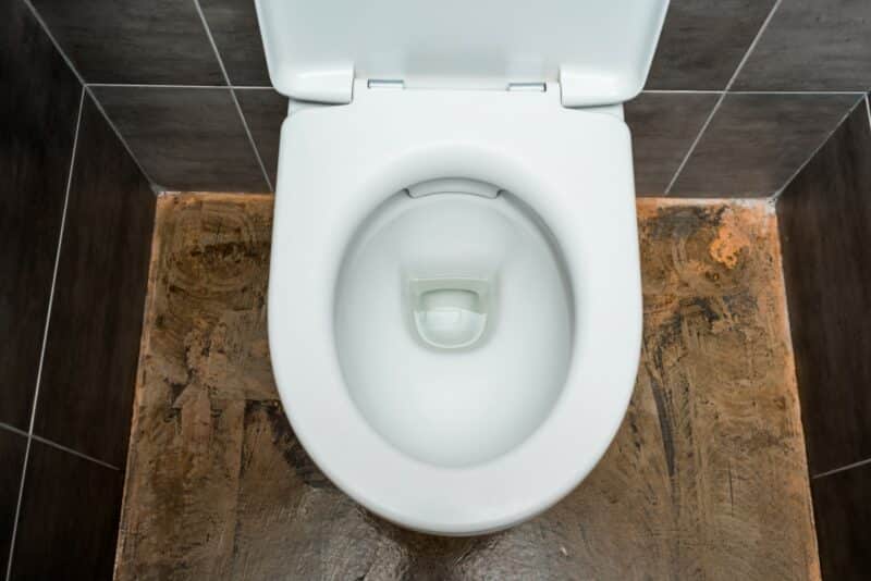 Rensning av avlopp: WC eller renslucka